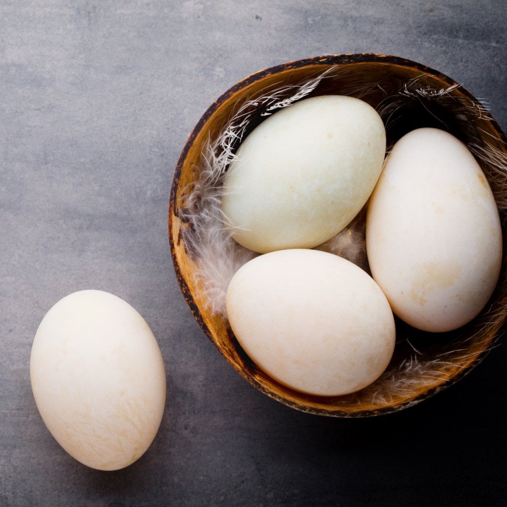 duck-eggs-blackwells-butchers